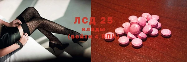 прущие грибы Переславль-Залесский