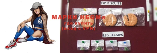 прущие грибы Переславль-Залесский
