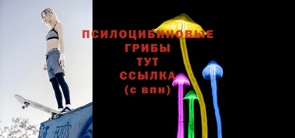 винт Пестово