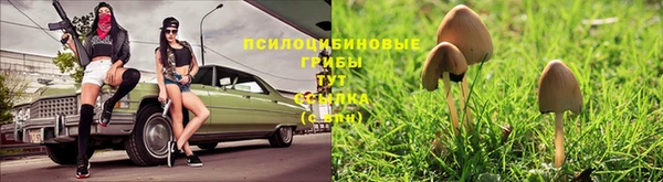 jwh Осташков